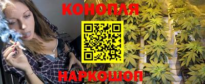 прущие грибы Пугачёв