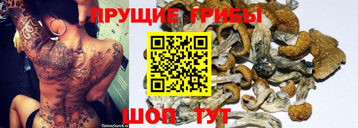Серов  Галлюциногенные грибы Magic Shrooms  Вход с VPN 